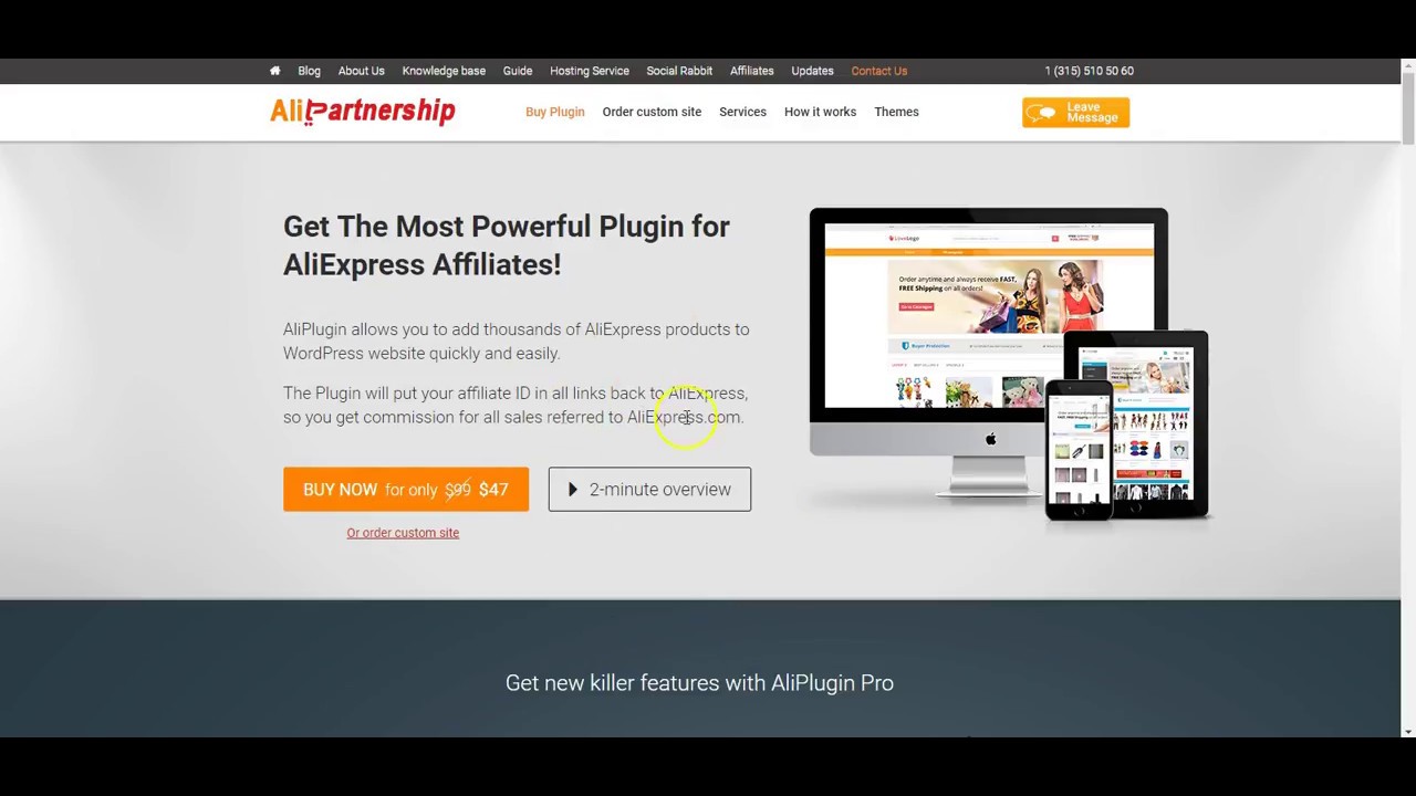 Boost Your Income with AliPlugin: Learn How to Earn $2,000 Monthly with Alipartnership!